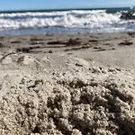 Appartamento Strandbude - Strandhotel Nr 9 4*