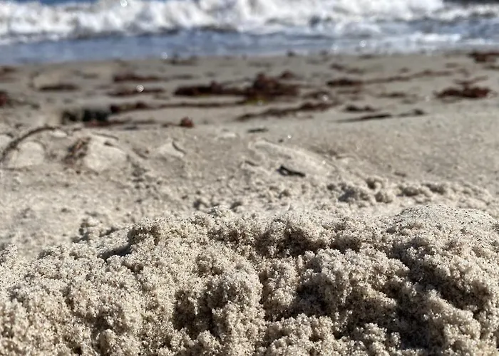 Appartement Strandbude - Strandhotel Nr 9 4*